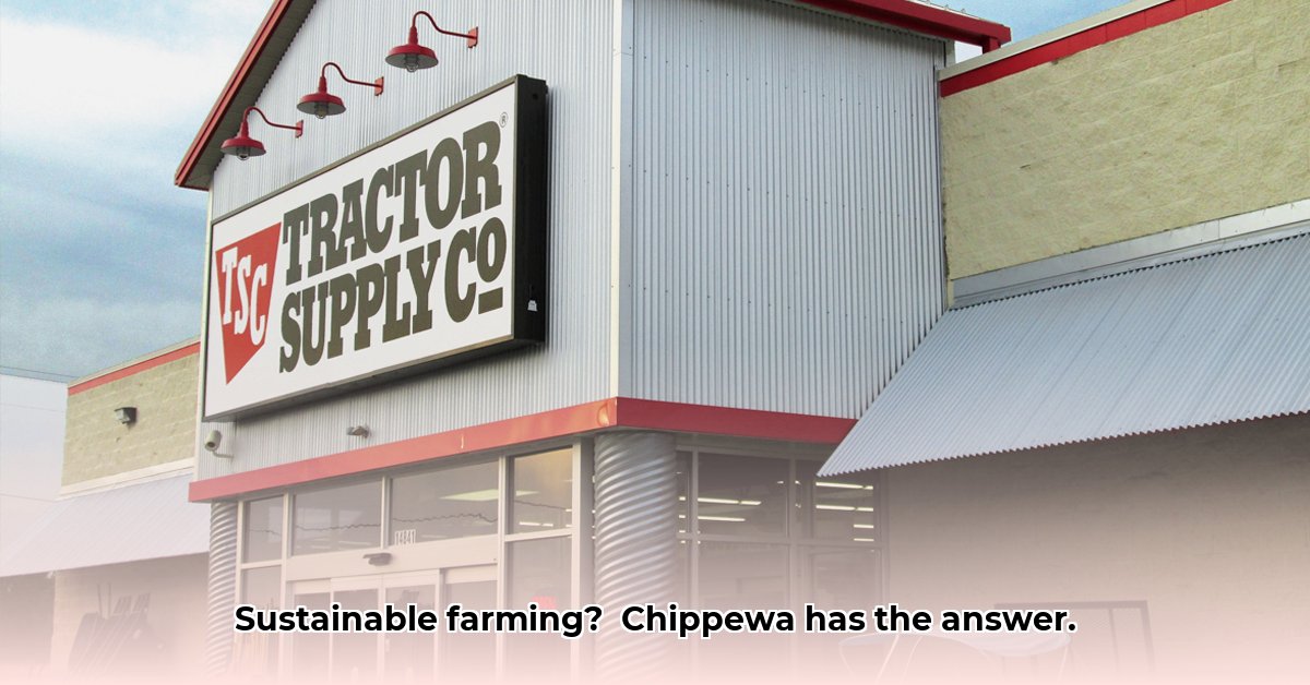tractor-supply-chippewa-pennsylvania